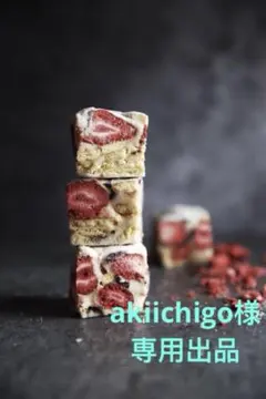 akiichigo様のご確認ため専用出品　ミニチュア　4/22