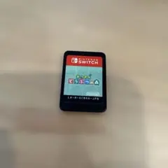 Nintendo Switch♡あつまれ　どうぶつの森