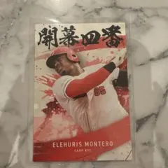 エレフリス・モンテロ CARP #95 カルビー