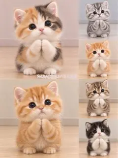 PARADISEパネル生地　 猫柄 P680