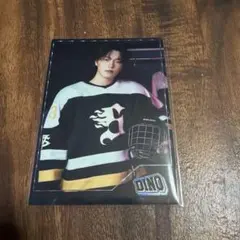 SEVENTEEN HOME 2025 トレカ　ディノ