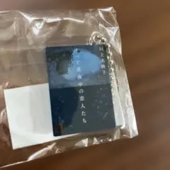 講談社文庫55周年 めじるしブックチャーム すべて真夜中の恋人たち
