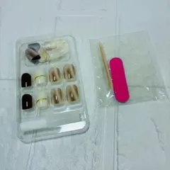 【24枚入】ネイルチップ 秋カラー ニュアンス べっ甲風 ゴールドライン付