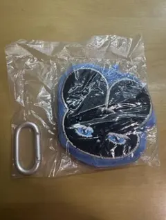 Item thumbnail for item c69b1a85-5914-4d85-8e8b-99044835e968