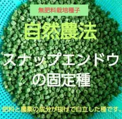 くろろ様 リクエスト 4点 まとめ商品