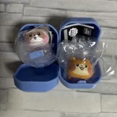 zeroni ゼロニ　ぷくっとリング　ビニニ ハニニ セット