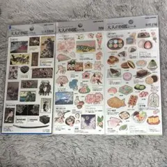 大人の図鑑シール　桜編　日本美術編　和菓子編