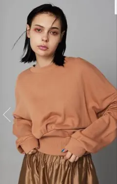 新品■HeRIN.CYE■クルーネック トレーナー■ベージュのサムネイル