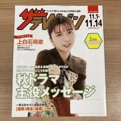 ザ テレビジョン 上白石萌歌 非売品