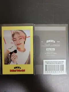 stray kids  アイエン　シーグリ　JYP  特典　トレカ