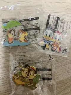 ディズニー ピンバッジとチャームセット 未開封新品
