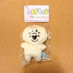 んぽちゃむ かぷっこふれんず きみまろ
