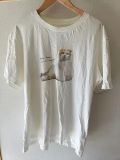 猫Tシャツ
