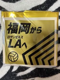 バレーボールアジア選手権2026福岡 スティックバルーン