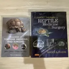 2025年最新】エキゾチック診療の人気アイテム - メルカリ