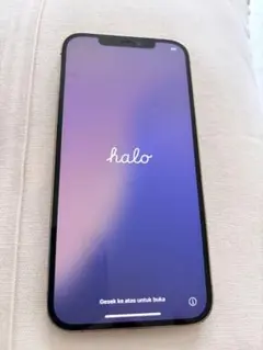 iPhone12 promax 256gb ジャンク美品 SIMフリー