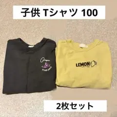 Tシャツ 2枚セット 100 キッズ 保育園着