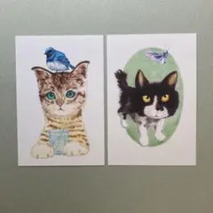 猫のリラックスタイム　2枚セット no.103 オリジナルイラストのポストカード