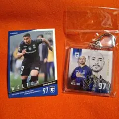 出品再開します　りょうこ様 リクエスト 2点 まとめ商品