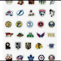 50枚】NHL 全チーム ロゴ ステッカーセット 防水 - メルカリ