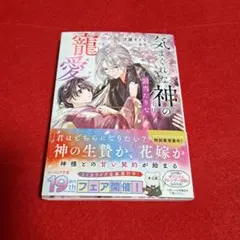 気まぐれな神の罰当たりな寵愛