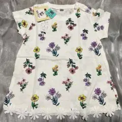 Item thumbnail for item c66d1a53-b089-46f4-a67f-ec282e81f108