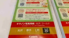 キャノン写真用紙・光沢ゴールド・厚手・L判・30枚付 x 2セット