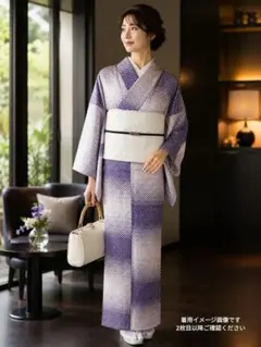 美品 正絹 紋紗 パープルドット市松小紋 単衣・盛夏兼用 裄68 おしゃれ着のサムネイル