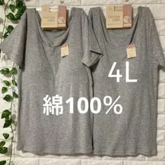 綿100％ カップ付き 半袖(フレンチ袖) 2枚 4L 大きいサイズ グレー2