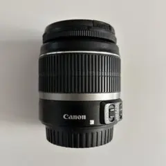 ジャンク】Canon EF-S10-22 USM 広角レンズ フード付 - メルカリ