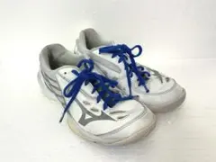 ⭐︎MIZUNO ミズノ バドミントンシューズ 24.5cmホワイトシルバー⭐︎