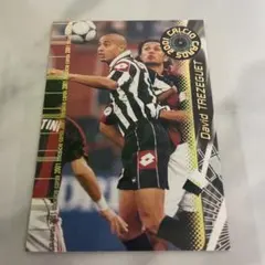 トレゼゲ ユベントス PANINI カード CALCIO CARDS 2001
