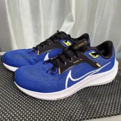 Item thumbnail for item 1e834d4d-01c2-4cd9-af37-a9748a6a9ee7