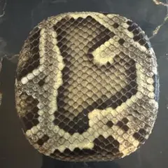 Item thumbnail for item 52b4de7a-89ce-4ad4-a344-65b6e652a6b9