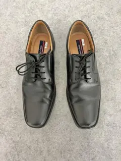 Item thumbnail for item 00a8fc9f-9698-4b65-9247-15144ece3840