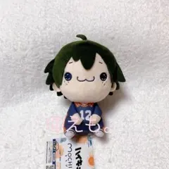 ハイキュー もちぴこ ぬいぐるみ 山口忠