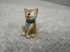 ノーティーアニマル　犬