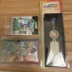 ポケモン JRスタンプラリー2025全駅制覇景品セット