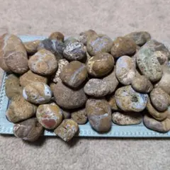 2025年最新】錦石の人気アイテム - メルカリ