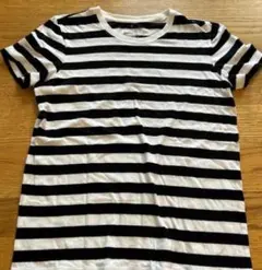 ストライプ Tシャツ 白と黒