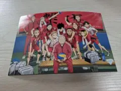 ハイキュー！！　ゴミ捨て場の決戦　特典　カード　ステッカー　音駒