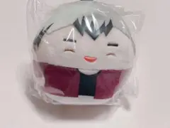 ハイキュー！！ ふわコロりん special
