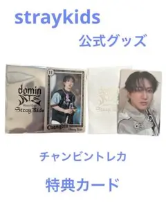 公式Stray Kids Changbin トレーディングカードセット