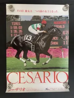 JRA ヒーロー列伝 5枚セット　NO.41〜45 エアグルーヴ、ヒシアマゾン他 JRA ヒーロー列伝 5枚セット NO.41〜45 エアグルーヴ、ヒシ