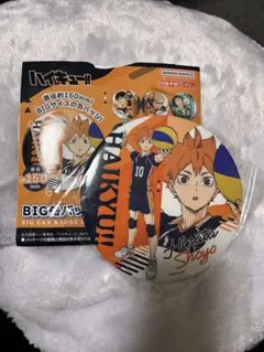 ハイキュー！！BIG缶バッジコレクションvol.2より日向翔陽くん
