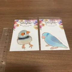 キンカチョウ＆マメルリハのステッカー