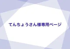 てんちょうさん様専用ページ
