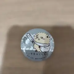 ちいかわ　ラッコ　くら寿司　缶バッジ