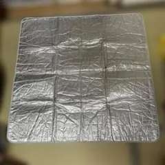 Item thumbnail for item 70ce535c-9235-43ab-96fa-c473ca4d3d3a