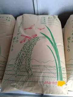 令和7年産　ひとめぼれ　玄米　30kgのサムネイル